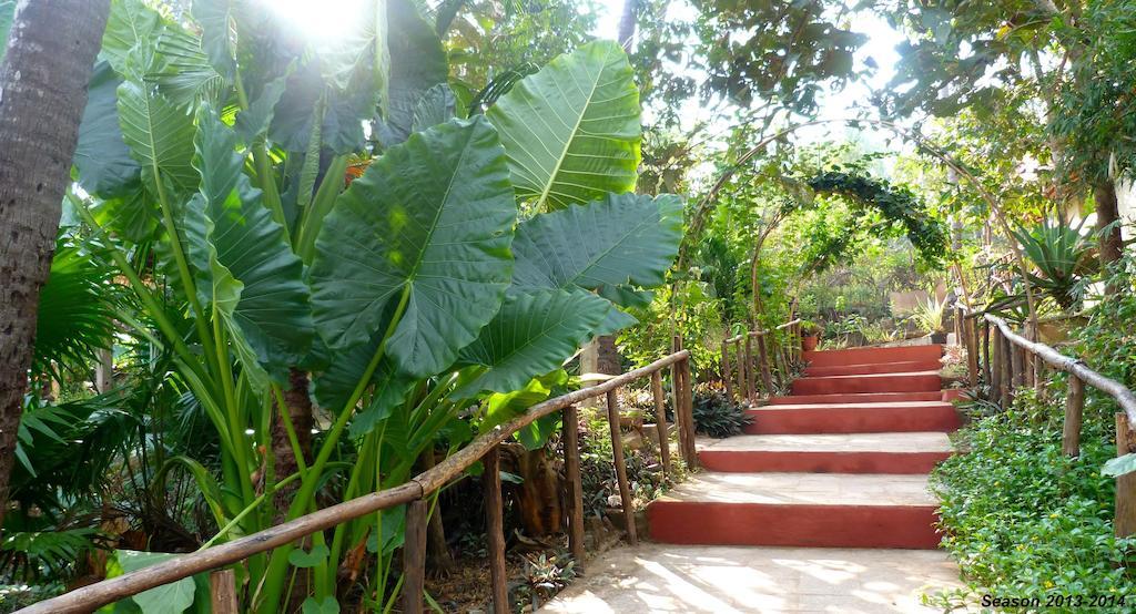 Secret Garden Resort Patnem Beach 외부 사진